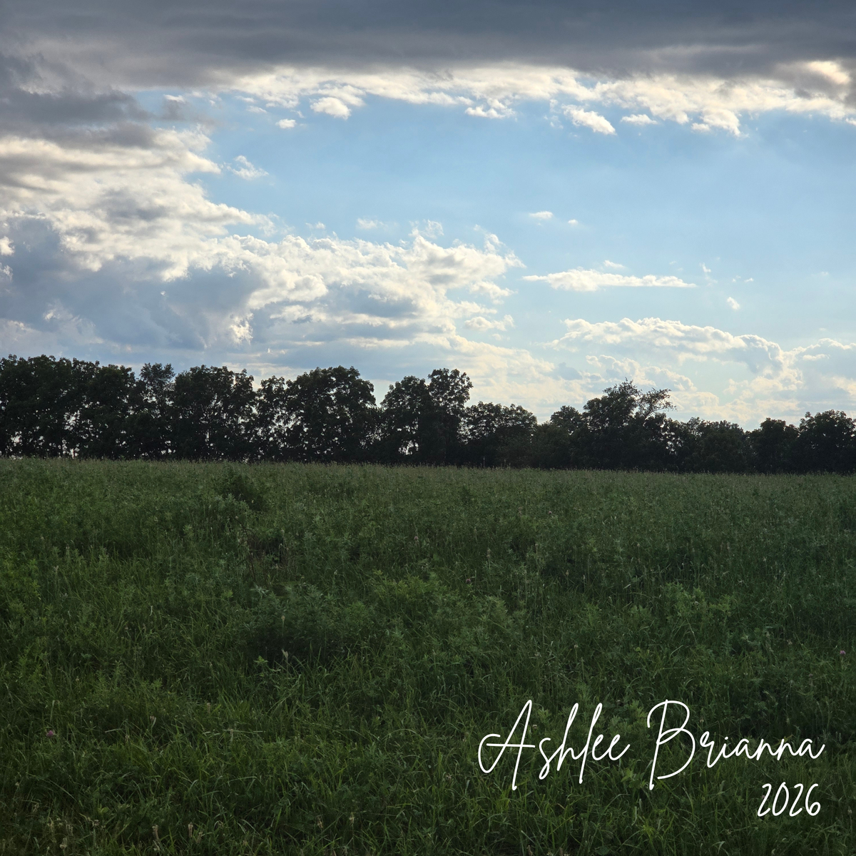 Open Field
