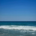 Shoreline
